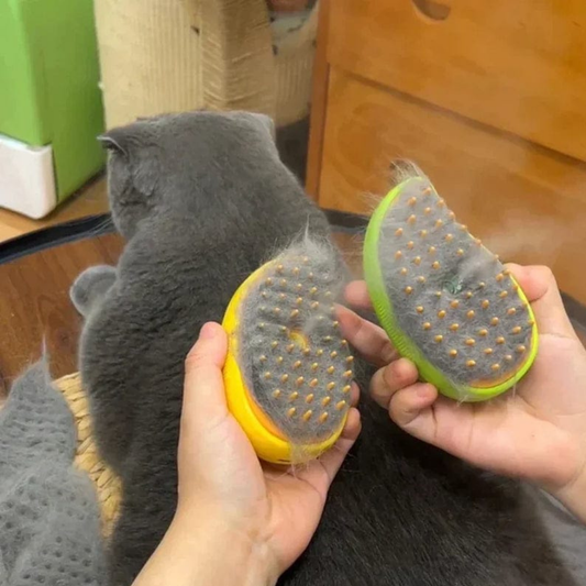 Pet Steam Brush