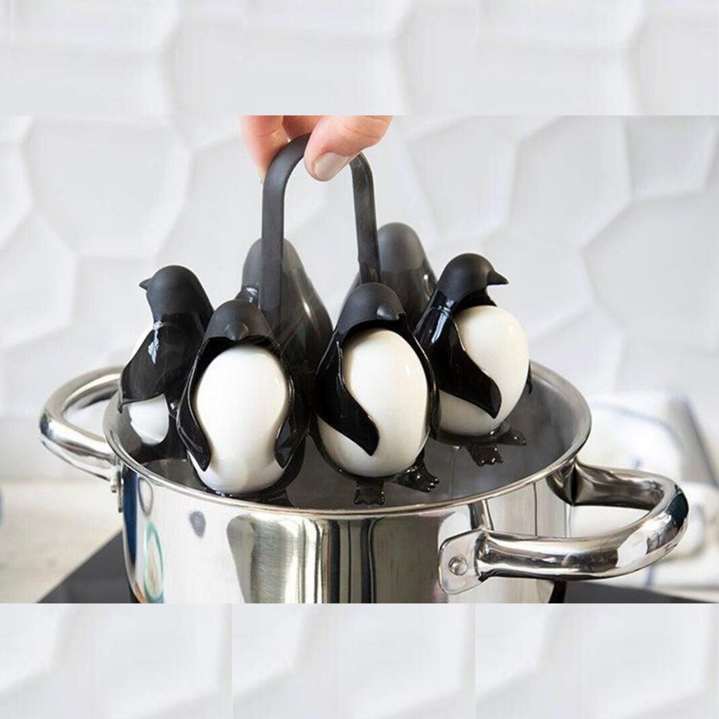 Egguins
